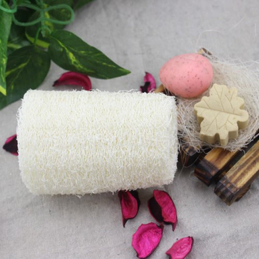1PC Natural Healthy Popular Loofah Wash - Whizmeal : To inspire a healthy you - rethinking lifestyle with the world of food