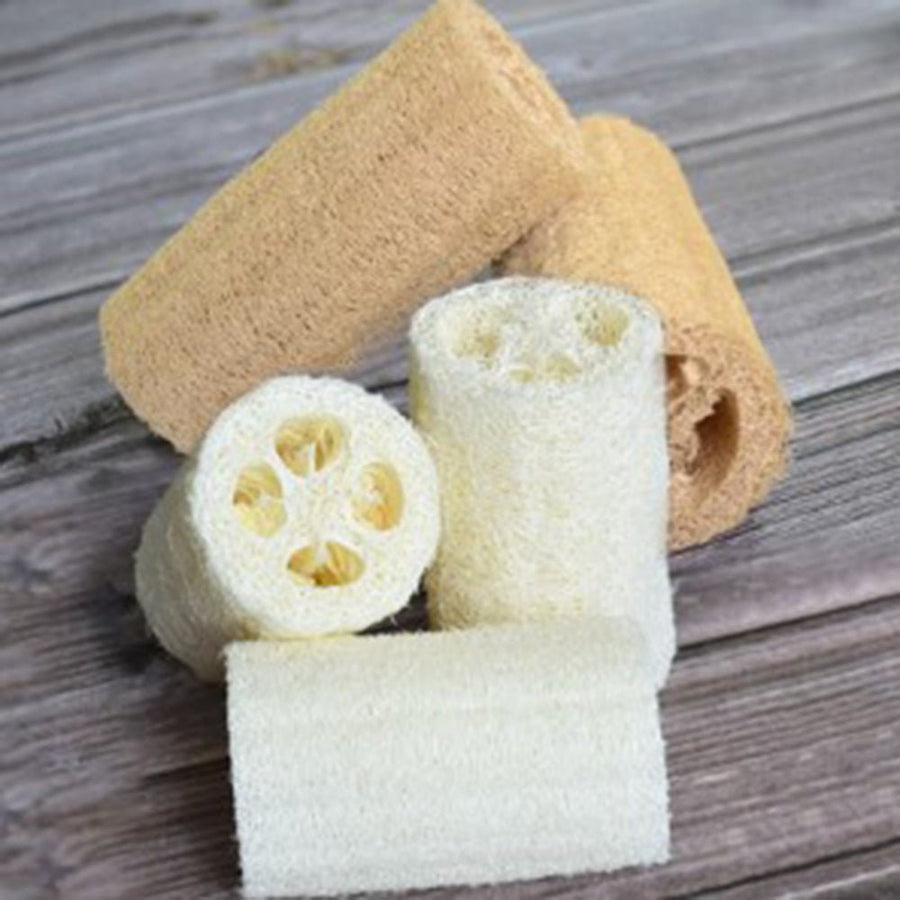 1PC Natural Healthy Popular Loofah Wash - Whizmeal : To inspire a healthy you - rethinking lifestyle with the world of food