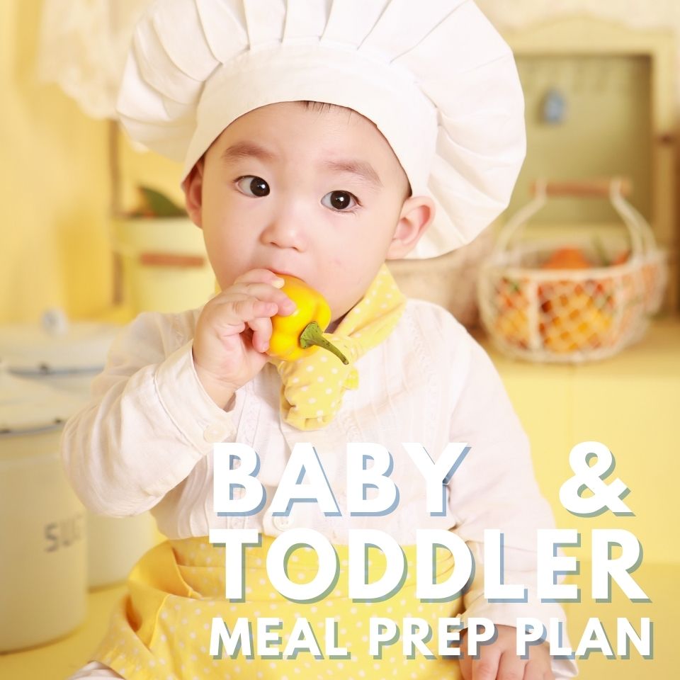 Baby and toddler Meal Prep Plan - Whizmeal : Together we shape a healthier generation