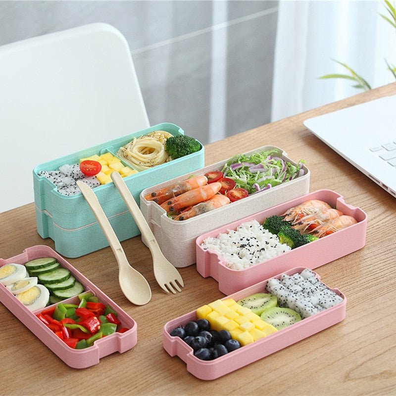 Healthy Material 2 Layer Lunch Box - Whizmeal : To inspire a healthy you - rethinking lifestyle with the world of food