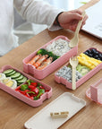 Healthy Material 2 Layer Lunch Box - Whizmeal : To inspire a healthy you - rethinking lifestyle with the world of food