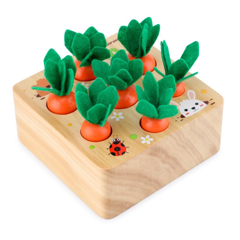 Montessori Toys for Toddler - Carrot Harvest Wooden Matching Puzzle, Shape & Size Sorting Games for Developing Fine Motor Skill, Educational Gift for Baby Boys Girls, Made of Natural Pine Wood - Whizmeal : Inspire a healthy you